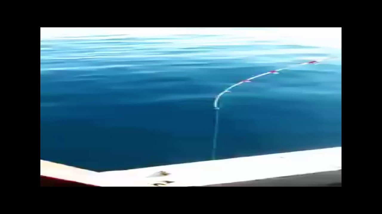 Kısmete Bak Balık Yerine Ne Yakaladı