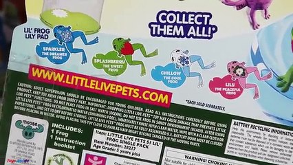 Little Live Pets Frogs & Lily Pad - Frog Race Challenge - Kids Toy Review & Play