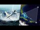 The Bermuda Triangle Mystery Is Finally Revealed || WittyFeed