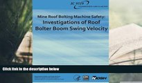 Download [PDF]  Mine Roof Bolting Machine Safety: Investigations of Roof Bolter Boom Swing