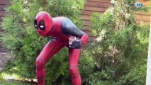 Spiderman & Frozen Elsa w/ Ironman vs Deadpool Cake Poo Prank Funny Superhero in real life. Ep. 91