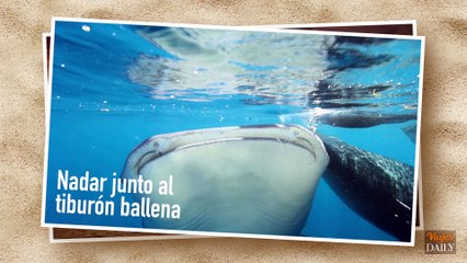 Planes de la isla Holbox