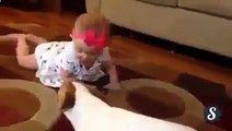 Смешная собака учит ползать маленького ребенка