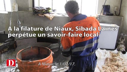 Filature de Niaux (09): un savoir-faire local et artisanal