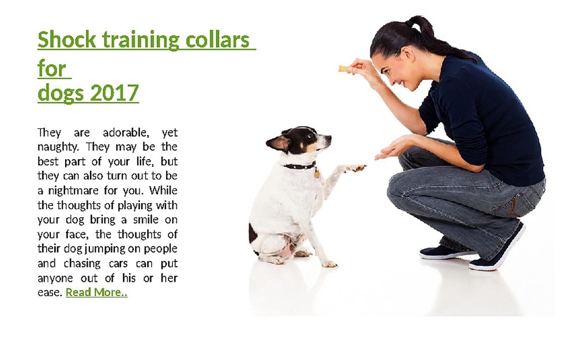 Shock training collars for dogs 2017