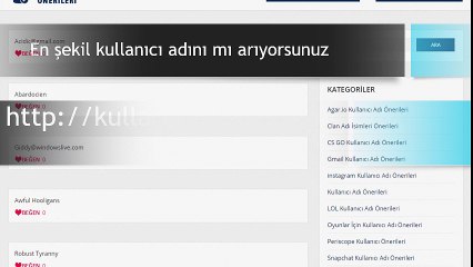 İnstagram Kullanıcı Adları