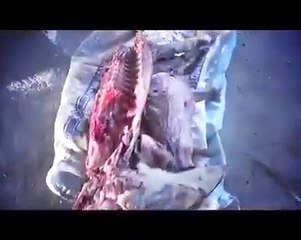 These r our muslim brother--- selling halal meat--- Shame shame