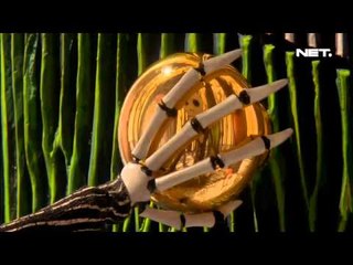 NET12 - Sejarah Singkat Halloween