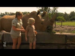 NET24 - Keluarga Steve Irwin Pecinta Hewan Liar