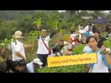 NET24 - Mengubah Lahan Kosong Menjadi Tempat Berkebun di 33 daerah di Indonesia