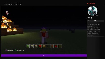 darth_binker play minecraft once again (17)