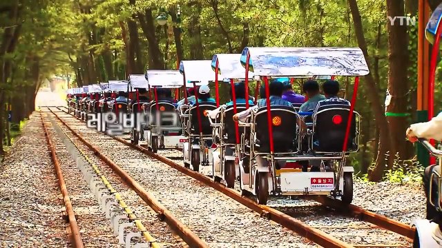 낭만적인 해안도시 '삼척' / YTN (Yes! Top News)