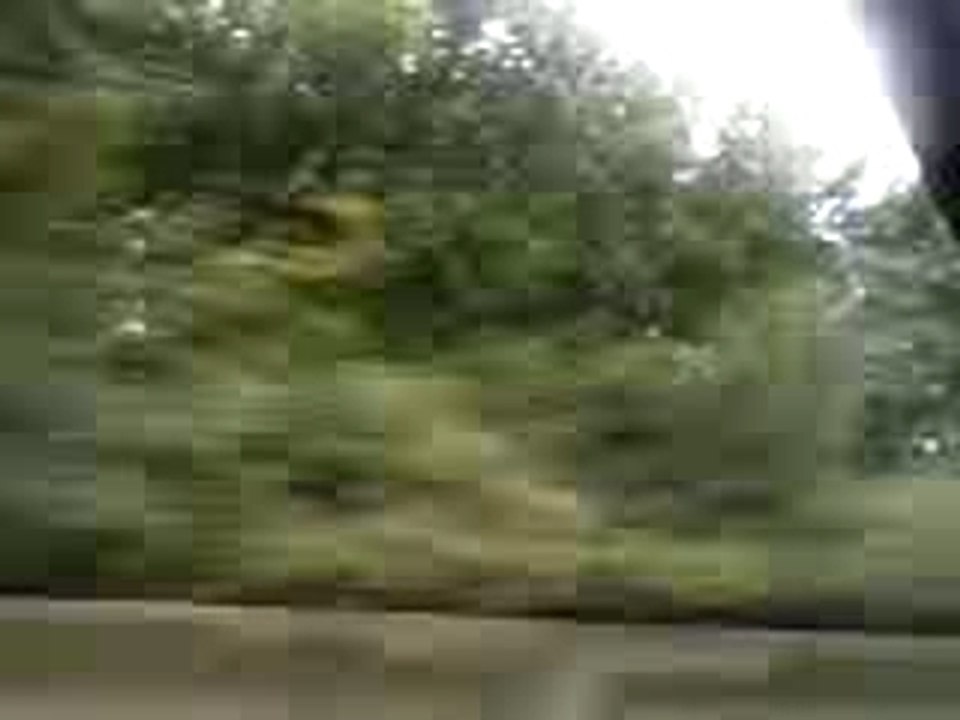 Video-0002