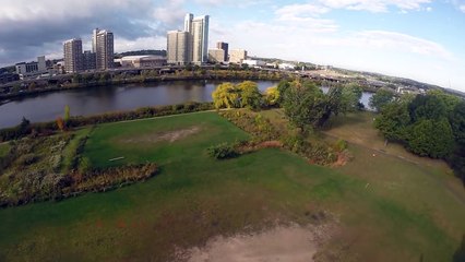 Şahin, Drone'a saldırırsa ne olur?