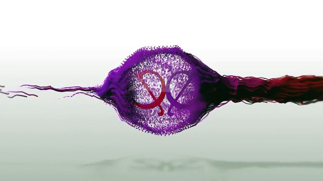 Pardes Mein Hai Meraa Dil Raghav & Naina To Get Intimate 3rd February 2017