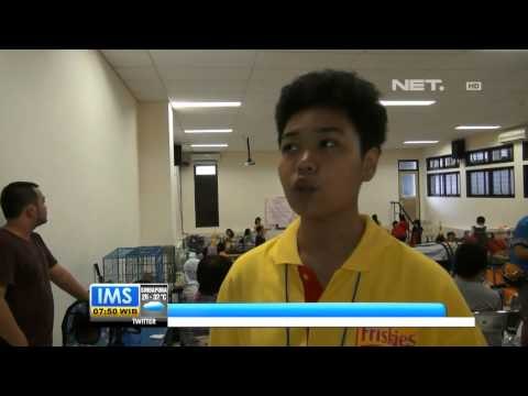 IMS - Kontes kucing yang cantik