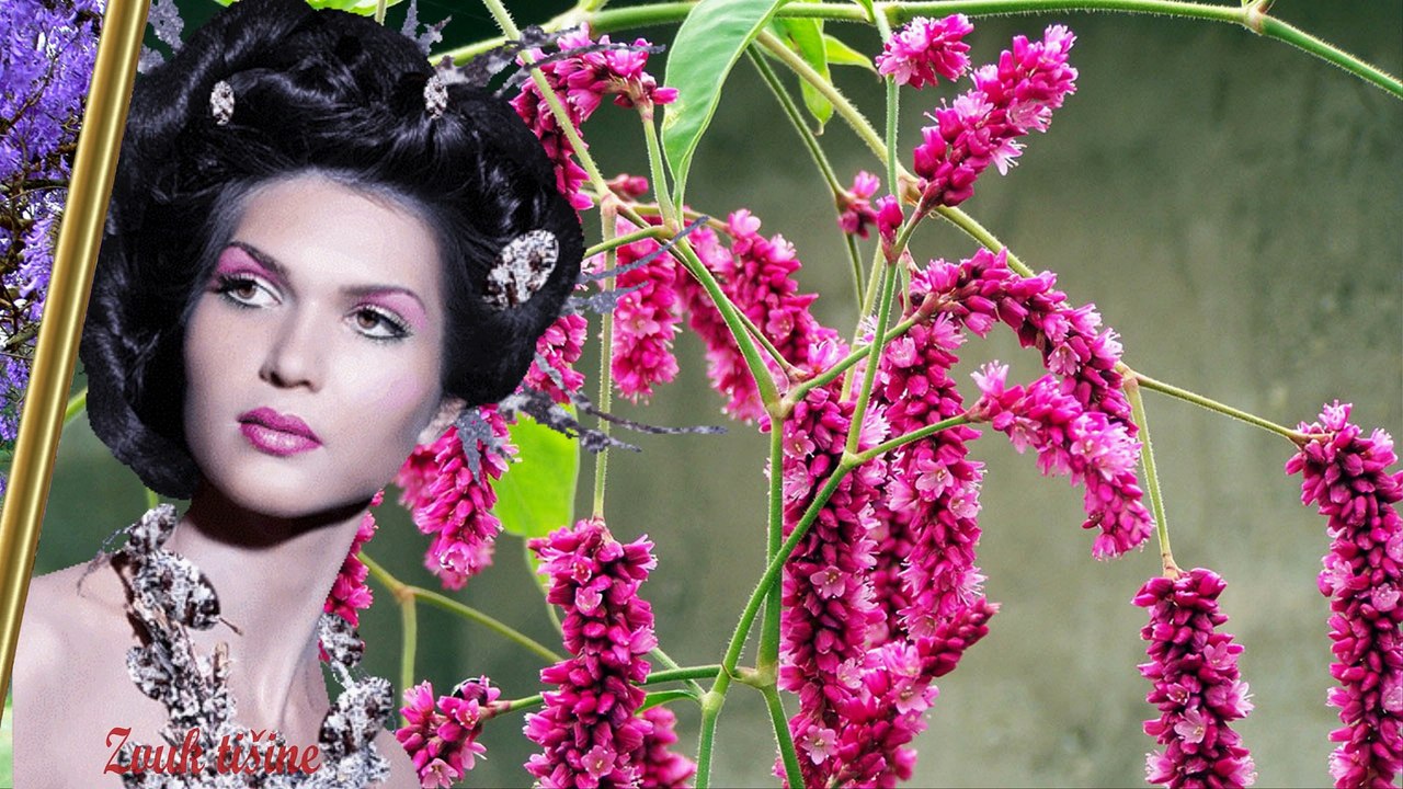 Ðorde Marjanović - Dirlada