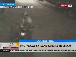 BT: Pagtangay sa isang aso, na-huli cam