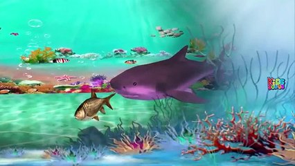 Shark Finger Family Nursery Rhymes Collection | Shark Cartoons For Children Rhymes
