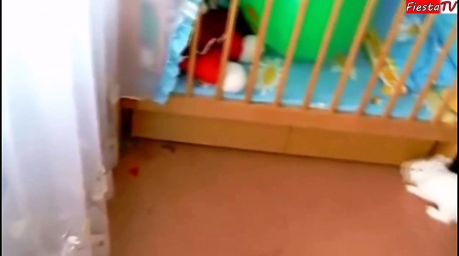 ПРИКОЛЫ ЗА НЕДЕЛЮ ЛУЧШИЕ ПРИКОЛЫ