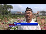 NET12 - Desa Sidomulyo di Batu, Jawa Timur sebagai Kampung Bunga