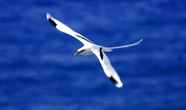 Île Réunion Piton Maïdo