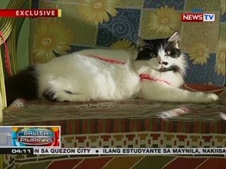 BP: "Pet-napping for ransom," bagong modus ng mga kawatan
