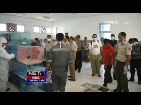 NET24 - Penyelundupan ratusan satwa yang tidak dilengkapi dokumen berhasil digagalkan