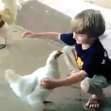 Супер мега ржачный прикол мальчик обнимает курицу лучшие приколы с детьми за сентябрь 2014