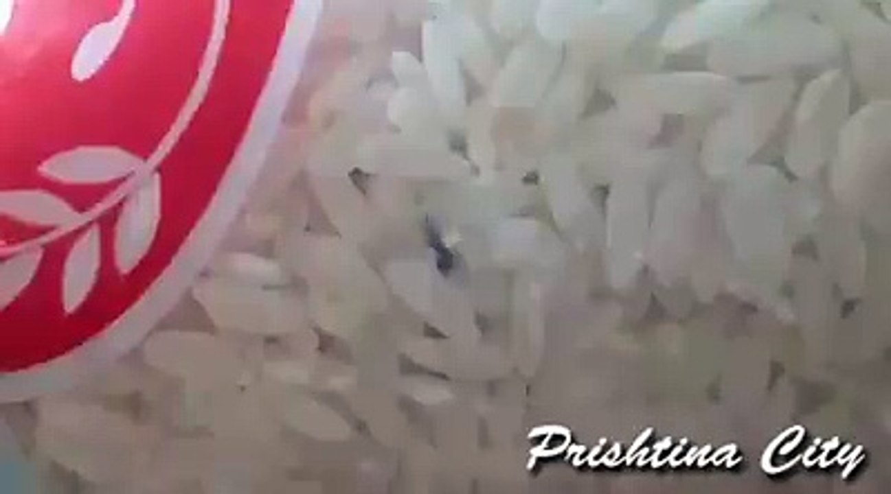 Kqyrne popull i dashun se me cka po..