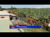 NET12 - Hama menjangkiti perkebunan pisang di Kosta Rika