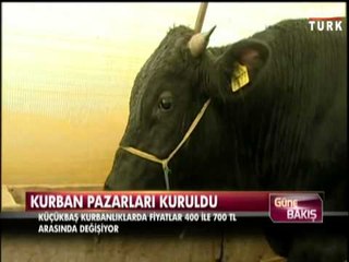 Kurbanlık fiyatları pazarda kaç lira?