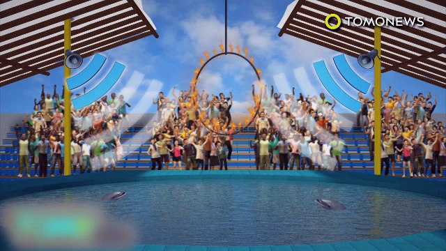 Golfinhos forçados a saltar aros flamejantes em circo da Indonésia.