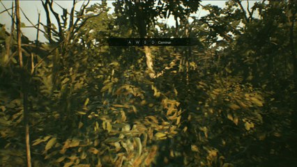 Resident Evil 7, gameplay Historia 1, Encuentro a mi novia en la casa