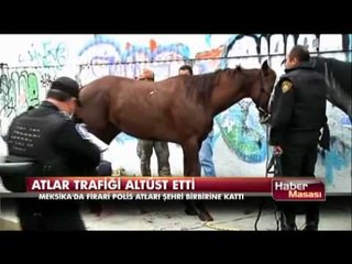 Atlar trafiği altüst etti