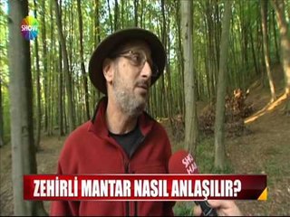 Zehirli mantar nasıl anlaşılır?
