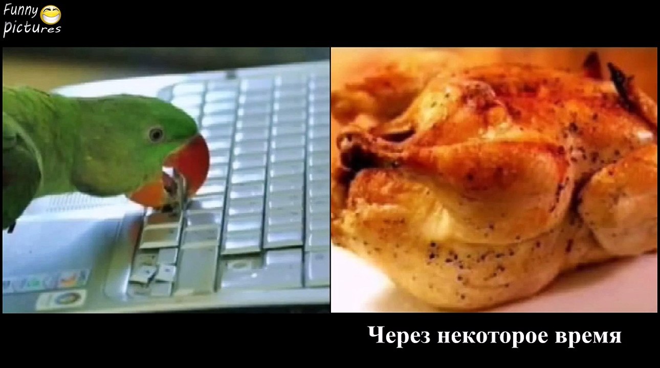 ПРИКОЛЫ FAIL Compilation