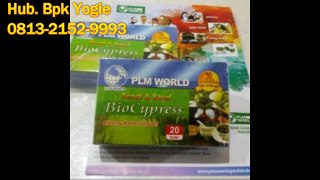 0813 2152-9993(bpk yogie),Obat Herbal Sehat, BioCypress Karo