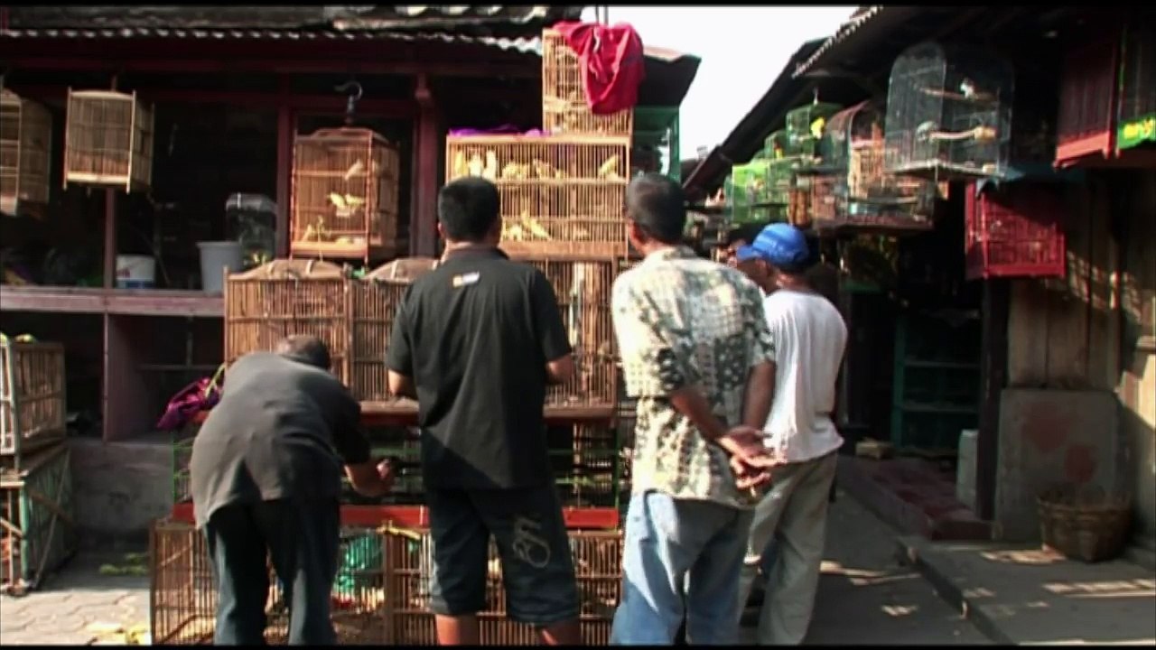 La transindonésienne de Sumatra à Bali (Film, Documentaire)-RjY-44tgcI4