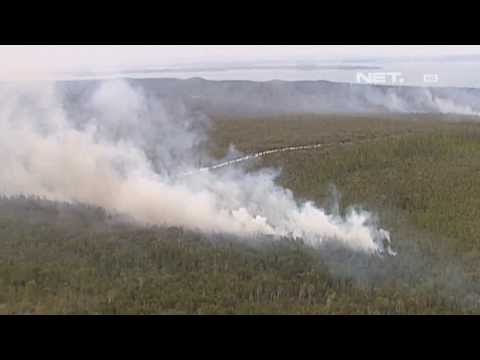 NET17 - Dampak Gelombang Panas Australia Suhu capai 48 deraja Selsius