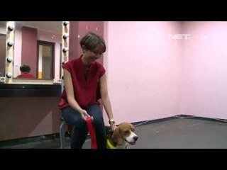 Shahnaz Soehartono Seorang Pecinta Anjing