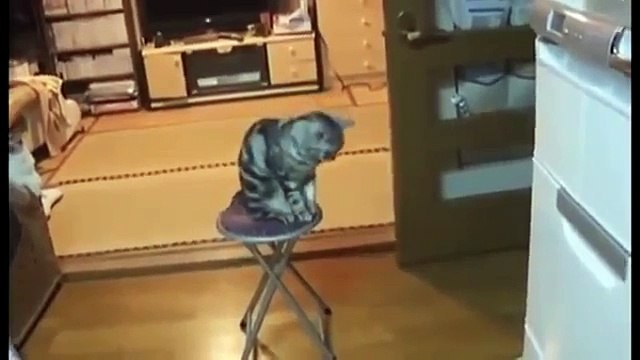 Сборник Убойных ПриколовСУП №172 Приколы 2015 подборка приколов сборник приколов Vine