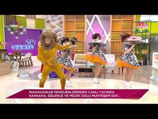 Madagaskar kahramanlarından muhteşem gösteri / Her Şey Dahil