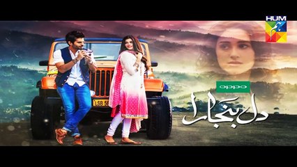 Dil Banjaara - Episode 17 Promo HUM TV Drama 3 February 2017