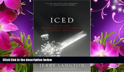 READ book Iced: The Crystal Meth Epidemic Jerry Langton Full Book