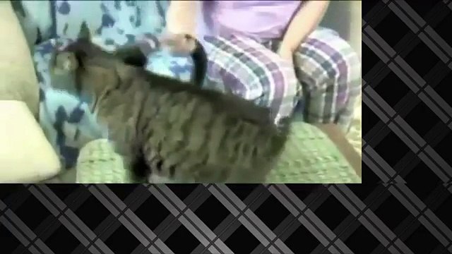 Самые новые угарные приколы! Подборка Приколов 2015