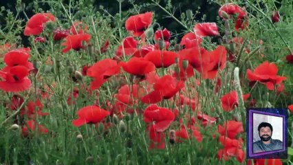 ГОРЬКАЯ  ПАМЯТЬ  ЗЕМЛИ