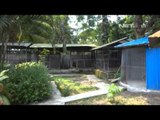 NET12 - 80 Satwa di Kebun Binatang Surabaya dalam kondisi kritis