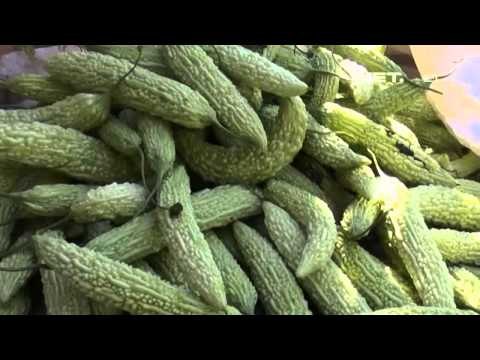 NET12 - Musim hujan mebawa berkah petani pare