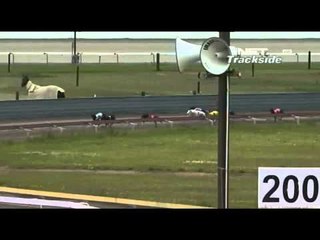 NET5 - Gempa bumi pacuan anjing